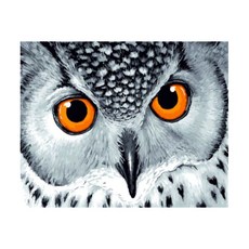 ABIRAM DIY名畫油畫組, 貓頭鷹