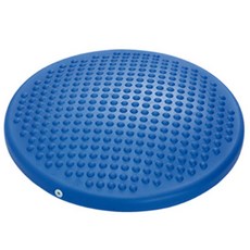 GYMNIC 核心訓練平衡墊 1.33kg, 藍色