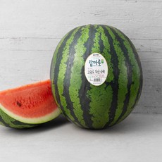 탑마루 GAP 인증 익산 고당도 수박, 5kg, 1개