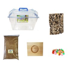 장수풍뎅이 사육 중형 세트, 혼합색상, 1세트