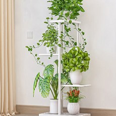 Ace 花盆架, 白色