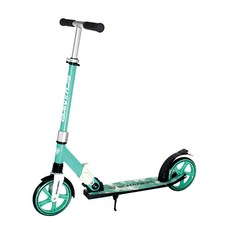 SCHANKEL 折疊踢板 200 毫米, 薄荷