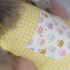 Petti 格紋粉彩圍裙狗狗連身裙, 黃色, 1個