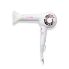 아이뷰티 항공모터 BLAC 헤어드라이기 1700W, IB-1800B, 혼합색상