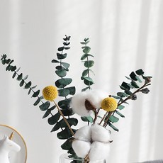 GAPANG 乾花 DRYJ026 No. 08, 混合