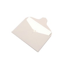 Raid名片信封 95*60mm 50入, 珍珠, 1個