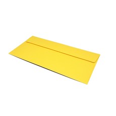 彩色信封Pantone Mink紙 29 黃色 175*85mm 50入, 1個
