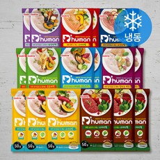 듀먼 전연령용 강아지 화식 버라이어티팩 사료 8종 (냉동), 닭, 50g, 1세트