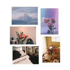 感性膠片明信片5件組, 混合色, 1套