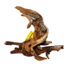 샘아쿠아 프리미엄 와일드 유목, 1개