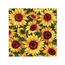 Momofix Painting DIY名畫繪製組合 40 x 40 cm, 向日葵合唱