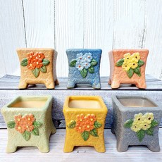 多肉植物花盆6件組, 國民禮物