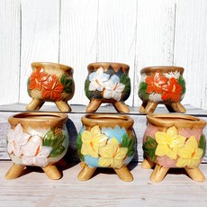 多肉植物花盆6件組, 國民希望