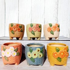 多肉植物花盆6件組, 國民檸檬