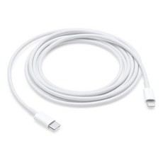 Apple 정품 USB C 충전 케이블, 2m