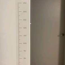 Fran Fran 身高壁貼, 透明灰色, 1張