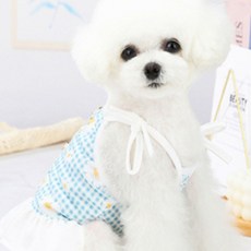 PETTI 狗狗格紋洋甘菊白色短裙, 天空藍