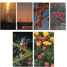 Our Very Moment 藝術家感性文具文字明信片6件組, 混合色, 1套