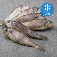 다미원 영광 법성포 한박스 굴비 30미 (냉동), 1.5kg, 1박스