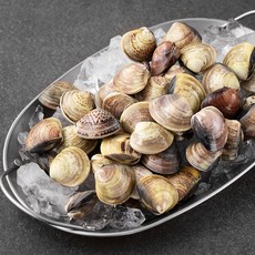 단디프레시 백합조개, 500g, 1팩