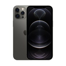 Apple 아이폰 12 Pro Max, 128GB, Graphite