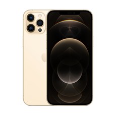 Apple 아이폰 12 Pro Max, 256GB, Gold