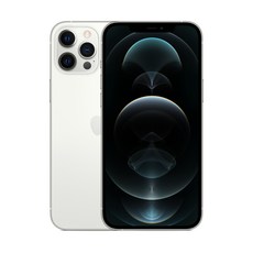 Apple 아이폰 12 Pro Max, 256GB, Silver