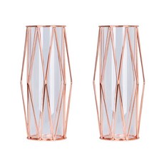 鐵製框架花瓶 TYPE 2 2個, 隨機發貨