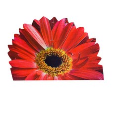 精緻花朵門墊, 紅色, 1個