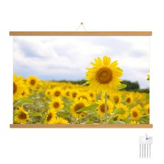 Marvel In Home 木質掛軸 + 金錢花C海報 + 無痕掛鉤套組