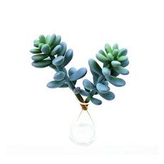 Garden in the City 單肉4850132, 單色, 2個