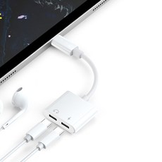 Raon USB Type-C 雙用轉接頭, 115mm, 白色