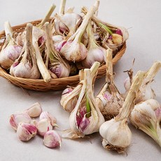 프레시밀 고흥 햇 주대마늘 50입, 1개