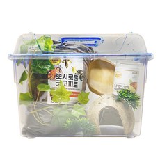 悅屋駕駛艙套組蝸牛飼養飼養養殖中型套組, 混色, 1套