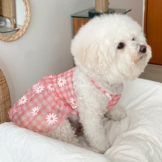 Black Label PUPPY Baidamsumi 狗狗雪酪透視連身裙, 粉紅色