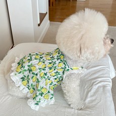 Bydamsoomi 狗狗水漾連身裙, 綠色