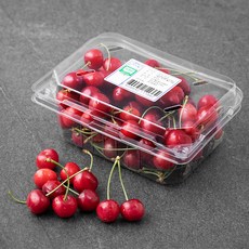 하이후르츠 GAP 인증 자주빛 경주 체리, 500g, 1개