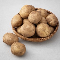 햇살바람 제주 감자, 3kg, 1박스