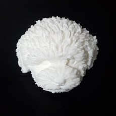 Art & Craft 馬爾濟斯 3D 小狗模具, 混合色