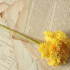 Rubycoocoo 人造花 室內裝飾 毛絨菊花 掃墓祭祖用花 自助婚禮捧花 室內裝飾道具 2入, 黃色