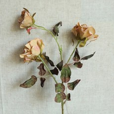 Ruby Coco 乾燥玫瑰人造花 2入, 淺綠色