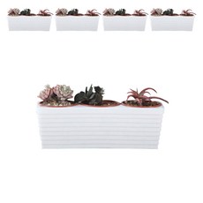 彩色花盆 5個, 白色的