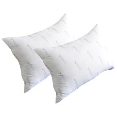 Amoron UK超細纖維羽絨枕芯 2入組, 白色