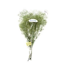 永生柔軟迷你滿天星花束, 面紗綠