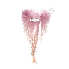 永生柔軟迷你滿天星花束, 紫色