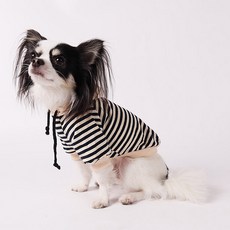 DING DONG PET 寵物條紋連帽T恤, 海軍藍