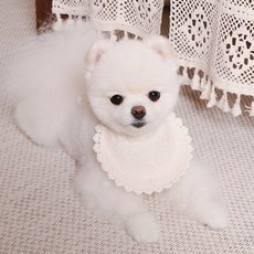 주비코 강아지 하트턱받이, 화이트, 1개