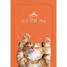 我們會再見面的 貓咪, 天主教出版社, 傑克·賓茨