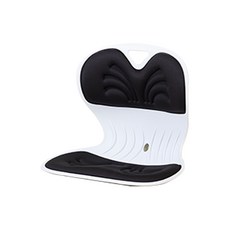 엔뚜마노 프로퍼체어 허리 등받이 자세교정 좌식 의자 PRO-15, 블랙