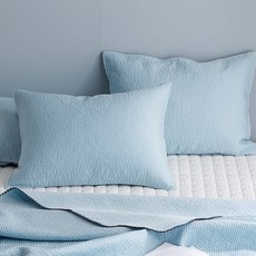 gBEDDING 素色人造棉枕套 2入+枕芯 2入, 藍色